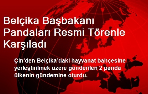 Belçika Başbakanı Pandaları Resmi Törenle Karşıladı
