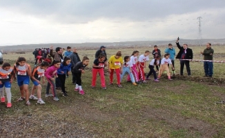 Ağrı'da okul sporları kros müsabakaları