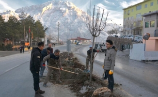 Hakkari Belediyesinden Hummalı Çalışmalar Devam Ediyor