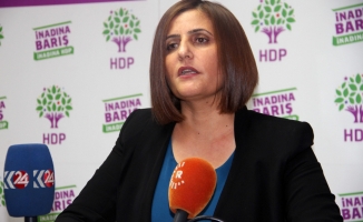 HDP Ağrı Milletvekili Dirayet Taşdemir'den Soru Önergesi