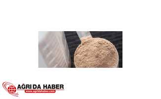 Protein Tozu Öldürebilir