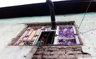 Van'da ki Suriyeli Ailenin Yürek Burkan Dramı