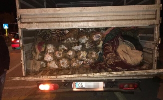 Van'da Patates Çuvalları Arasında 17 bin Paket Kaçak Sigara Yakalandı
