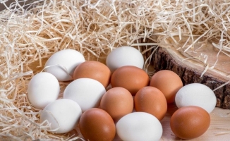 Yumurtanın İyisi Nasıl Anlaşılır? Yumurta Kalitesine Göre Kodlandı!