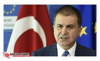 AB Bakanı Ömer Çelik: 'Zeytin Dalı Harekatı' eleştirilerini sert çıktı