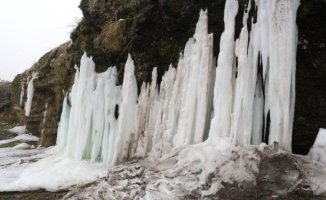 Ağrı'da Şelaleler Dondu! Dondurucu Soğuklar Sürüyor