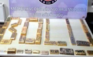 Bolu'da Otobüsün Buzdolabından Külçe Külçe Altın Çıktı!