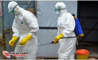 Denizli'de Şap Hastalığı korkuttu: 15 Mahalle karantinaya Alındı