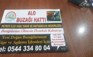 Patnos'ta "Alo Buzağı Hattı" Kuruldu