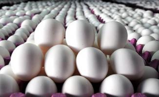 Türkiye İran'a 2 Bin Tırı Aşkın Yumurta Gönderecek