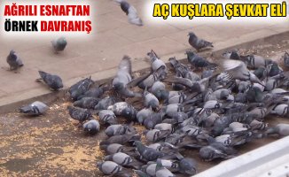 Ağrı'lı Esnaftan Aç Kuşlara Şevkat Eli!