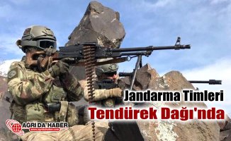 Jandarma Komando Timleri Ağrı Tendürek Dağı'nda operasyon başlattı