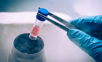 İnsan Ömrünü 200 Yıla Kadar Uzatan Tedavi: Kök Hücre!