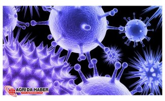 Lassa Humması Hastalığı nedir? Lassa Ateşi Nedir ve Aşısı var mı?