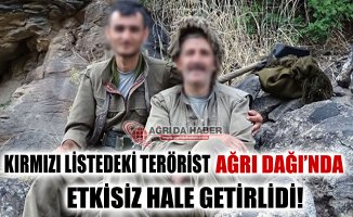 Kırmızı Listedeki Terörist Ağrı Dağı'nda Etkisiz Hale Getirildi