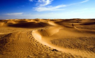 Türkiye İçin Korkutan Uyarı! "Çöl İklimine Dönüşüyoruz!"