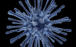 Virüs Yaygınlaşıyor Ölenlerin Sayısı Artıyor