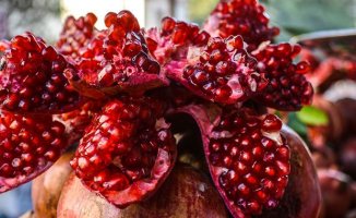 Nar Hayatını Onun Kararttı