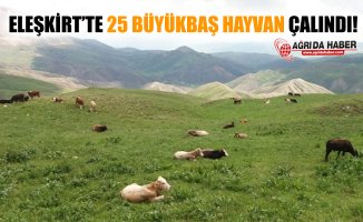Eleşkirt Aydoğdu Köyünde 25 adet Büyükbaş Hayvan Çalındı!