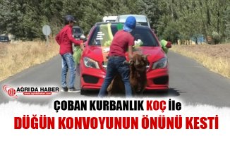 Taşlıçay'da Çoban Kurbanlık Koç ile Düğün Konvoyunun önünü kesti