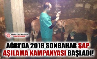 Ağrı'da 2018 Sonbahar Şap Aşılama Kampanyası Başladı