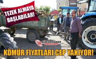 Ağrı'da Kömür Fiyatları Cep Yakıyor! Vatandaşlar Tezek Almaya Başladı!