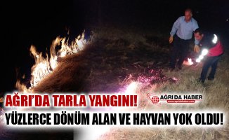 Ağrı'da Tarla Yangını! Yüzlerce Dönüm ve Canlı Türü Yok Oldu!