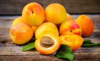 Kaysının İnsan Vücuduna faydaları