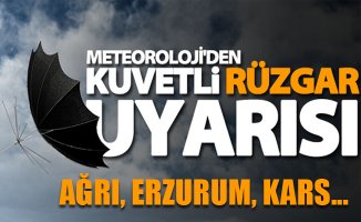 Meteoroloji'den Erzurum, Kars ve Ağrı için Uyarı!