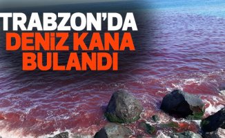 Trabzon'da korkutan Deniz görüntüsü! Deniz Kan Rengine Döndü