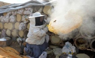 Bu Balın Kilosu 500 TL