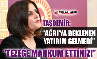 HDP Ağrı Milletvekili Dirayet Taşdemir'den Beklenen Yatırımın Yapılmadığı İddiası