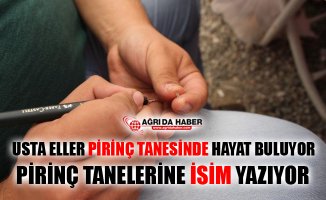 Usta Eller Pirinç Tanelerinde Hayat Buluyor