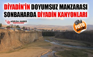 Diyadin'in Doyumsuz Manzarası: Diyadin Kanyonları