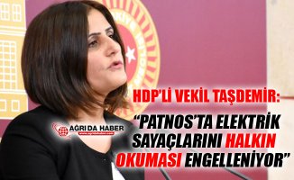 HDP Ağrı Milletvekili Taşdemir'den Patnos'taki Elektrik Sayaçları açıklaması