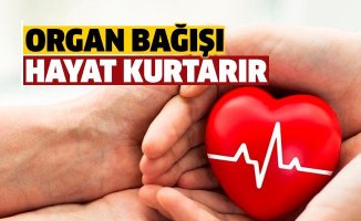 Organ Bağışı Haftasında Bingöl 218 kişi ile Destek oldu
