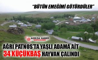 Ağrı Patnos'ta 34 Küçükbaş Hayvan Çalındı