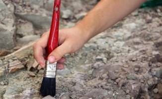 Görenler Şoke Oldu! 700 Yıldır...