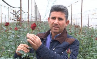 Günlük 200 Lira Veriyor Çalışacak Kimse Bulamıyor