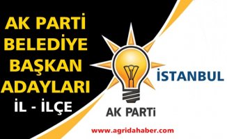 Ak Parti İstanbul Belediye Başkan Adayları İl ve İlçeler Tam Liste