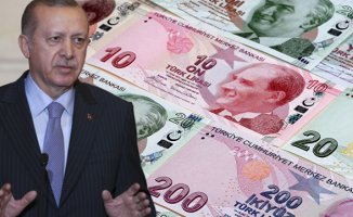 Erdoğan Müjdeyi Verdi! Çiftçilere Büyük Destek!