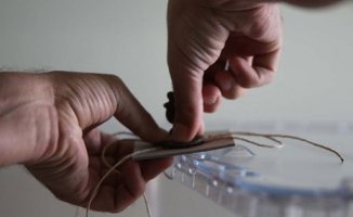 Yeni Yıl İle Yerel Seçim Başladı