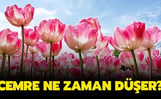 Sıcak Havaların Müjdecisi Cemre Ne Zaman Düşecek?
