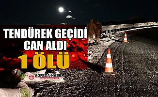 Tendürek Geçicidi Can aldı: 1 Ölü