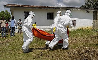 Ebola'ya 8 ayda rekor kurban