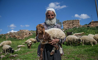 5 Bin TL'ye Çoban Bulunmuyor