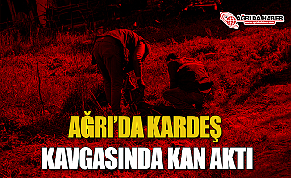 Ağrı'da Kardeş Kavgasında Kan Aktı