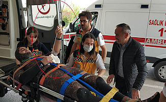 Karnın'da Zıpkın ile Hastaneye Gitti