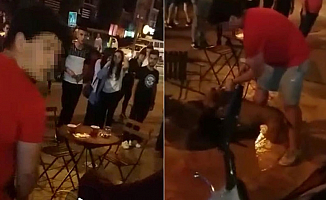 Pitbull Sokak Kedisine Saldırdı!