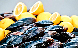 Midye 5 Kişiyi Zehirledi! Artık Yasak!